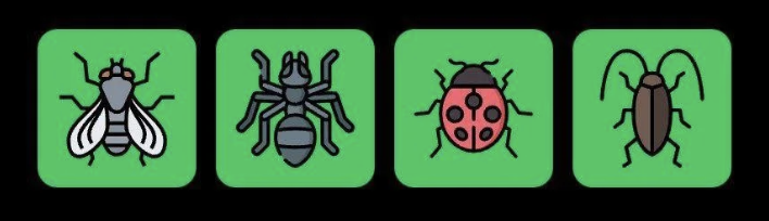 FLIES Daily Combo 25 May 2025